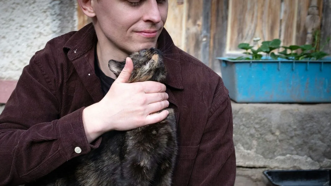 Person streichelt eine Katze und schaut aufs Handy