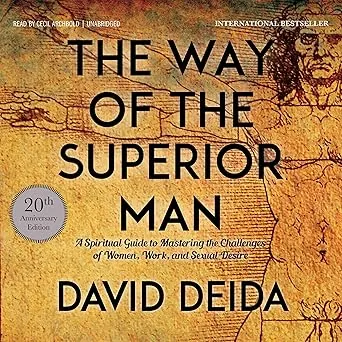 The Way of the Superior Man von David Deida